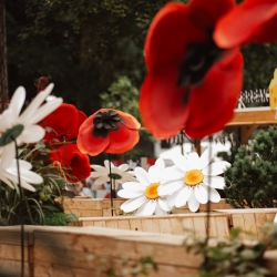 Jardin de John - © Hugo Jehanne