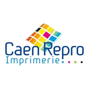 Caen Repro partenaire du Festival Beauregard 2024