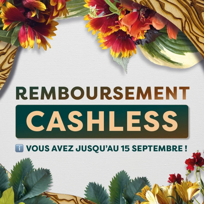 REMBOURSEMENT CASHLESS OUVERT JUSQU'AU 15 SEPTEMBRE ⏱️ - Festival Beauregard REMBOURSEMENT CASHLESS OUVERT JUSQU'AU 15 SEPTEMBRE ⏱️ - Festival Beauregard